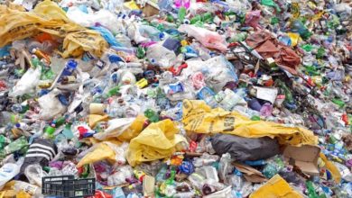 Photo of India’s Ban on Single-Use Plastic