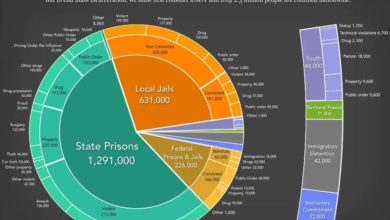 Photo of The US Prison population explosion!