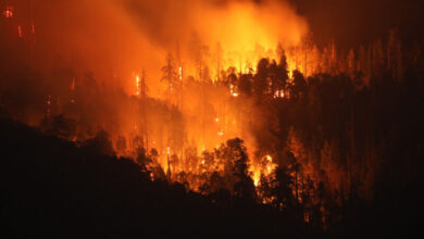 Photo of California deploys AI-powered wildfire detection systems