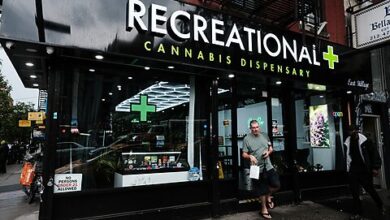 Photo of Ohioans Decisively Vote to Legalize Recreational Marijuana