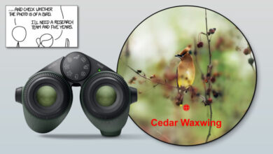 Photo of Famous xkcd comic comes full circle with AI bird-identifying binoculars