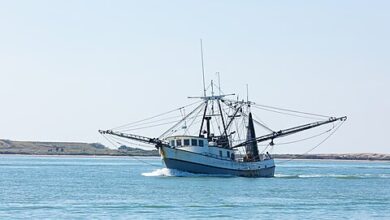 Photo of State Officials Can’t Appoint Federal Officers in Gulf Coast Fishing Case