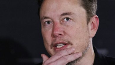 Photo of Elon Musk claims he is training “the world’s most powerful AI by every metric”