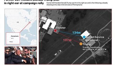 Photo of Trump Assassination Attempt: Investigation Update