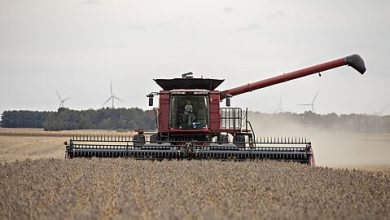 Photo of Kennedy Says Cut Subsidies for Farmers and Junk Food