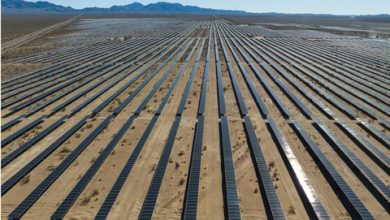 Photo of Solar Panels and Open Lands