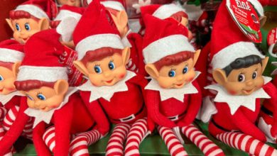 Photo of The Occupational Licensing Elves on the Shelf