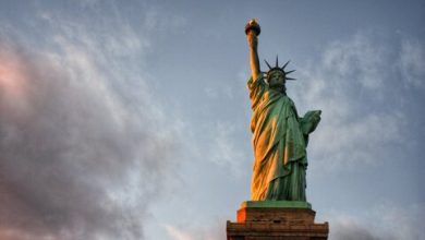 Photo of Protectionist Sightseeing in New York Harbor