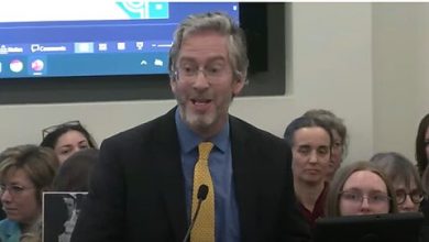 Photo of The Whole DEI “Project Is a McCarthyite Witch Hunt”