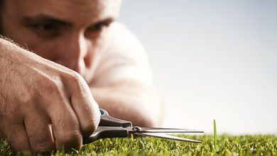 Photo of Rescissions: A Small but Welcome Step Toward Spending Discipline