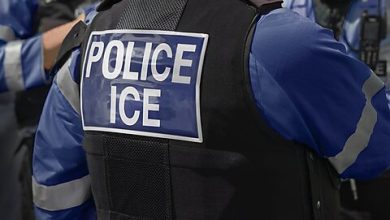 Photo of ICE Is Arresting 1,100 Percent More Noncriminals on the Streets Than in 2017
