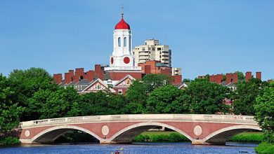 Photo of Why Is Harvard the Only University That Can’t Have International Students?