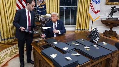Photo of When the President Bit: From the Shark House to the White House