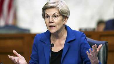 Photo of Warren, Trump, and the Debt Limit