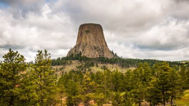 Photo of AI in Wyoming may soon use more electricity than state’s human residents
