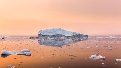 Photo of Why I Helped Organize the Department of Energy’s Climate Report