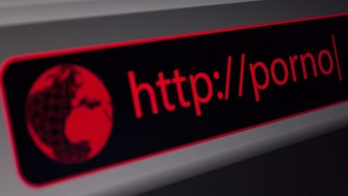 Photo of Adult sites are stashing exploit code inside racy .svg files