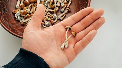 Photo of Oregon’s Psilocybin Experiment: The Downsides of Partial Legalization