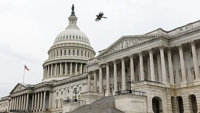 Photo of Report: 201,000 Federal Employees Let Go Since January—A Good Start